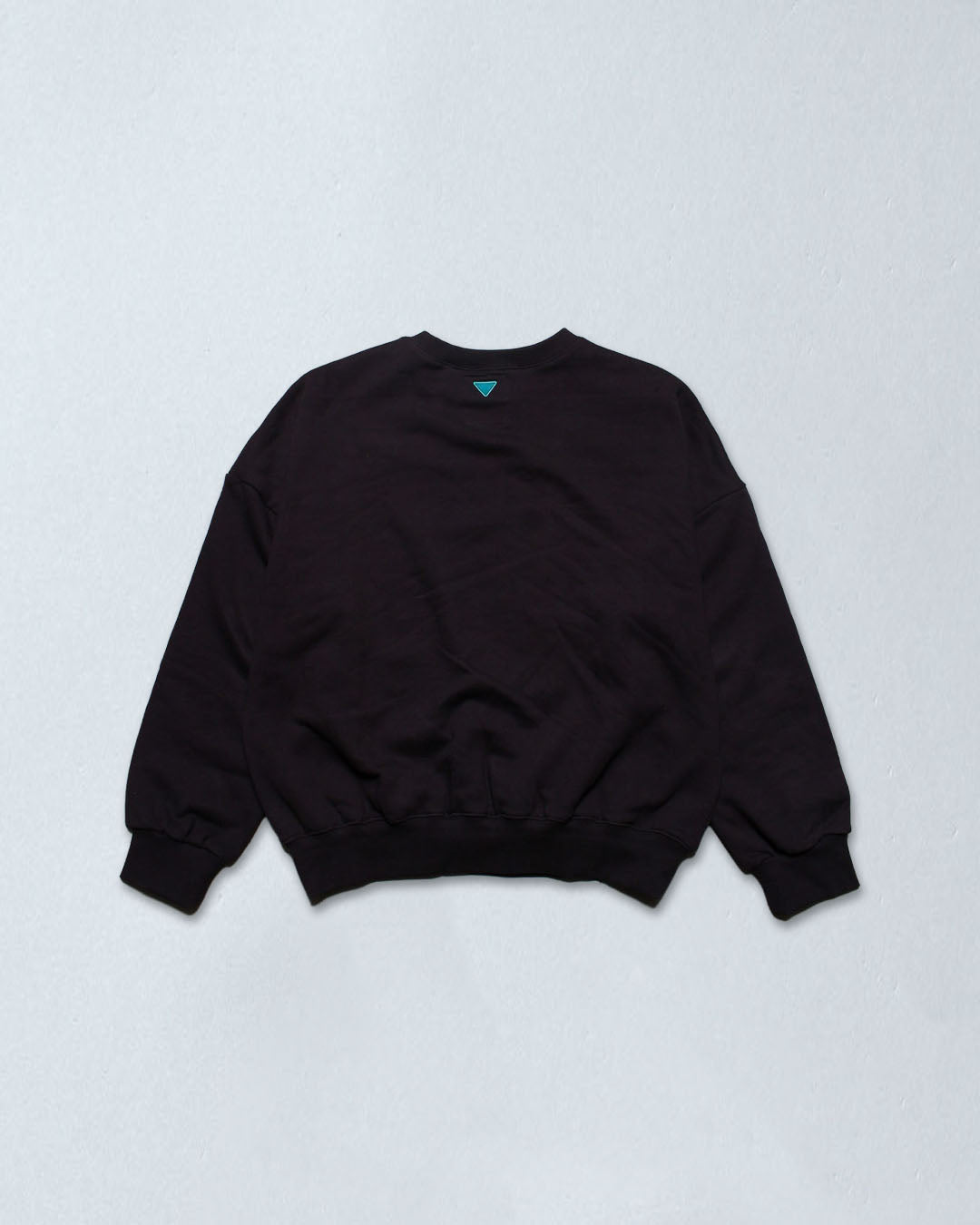 カレッジロゴトレーナー